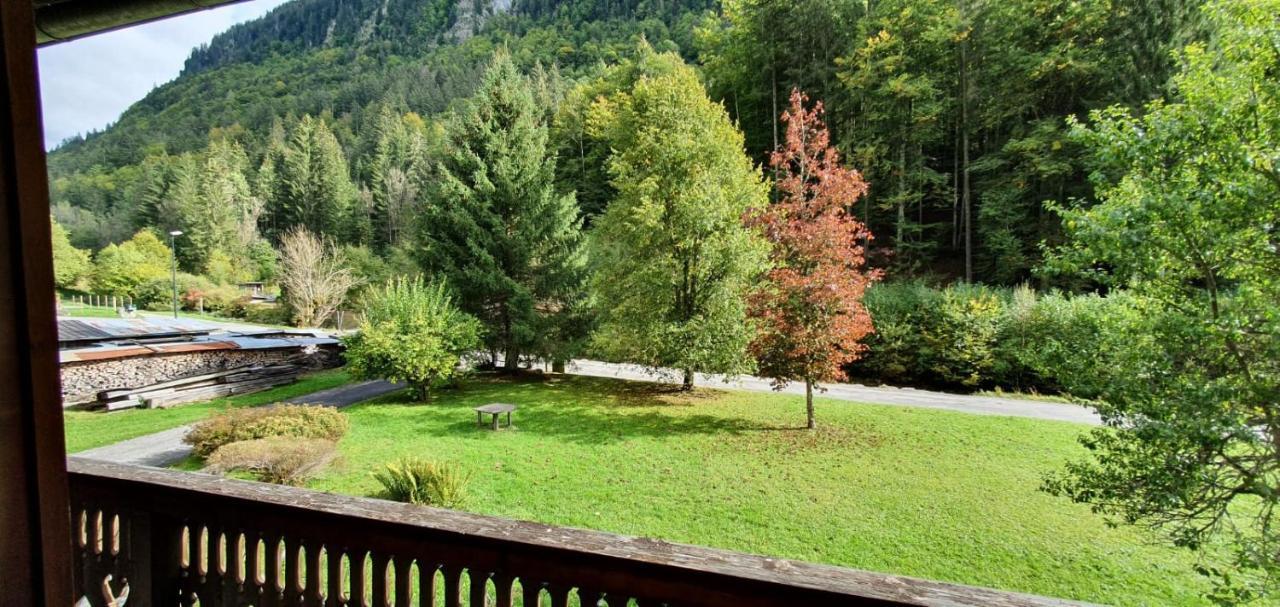 Appartement-3-Chambres-8-Couchages-Wifi-Montriond-Chebourins Kültér fotó