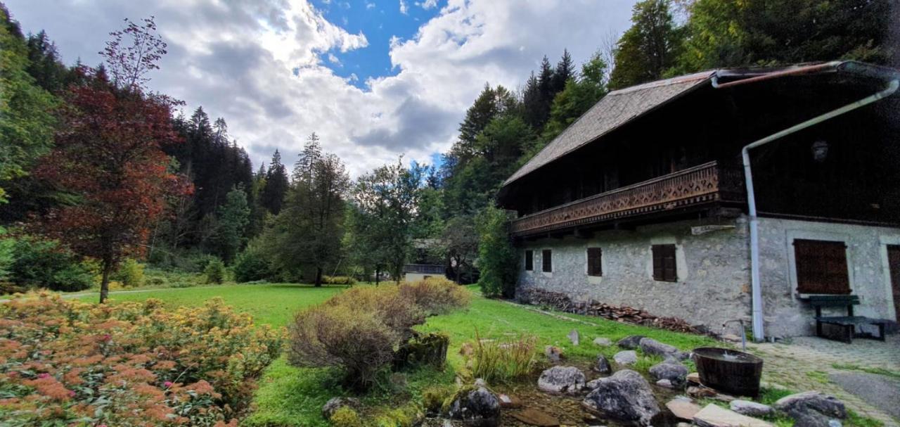 Appartement-3-Chambres-8-Couchages-Wifi-Montriond-Chebourins Kültér fotó
